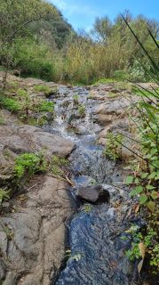 2024-01-GranCan-Barranco_de_los_Cernicalos-057.jpg